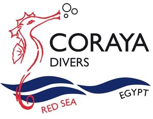 Coraya Divers